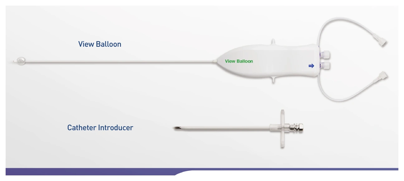 View Balloon Catheter